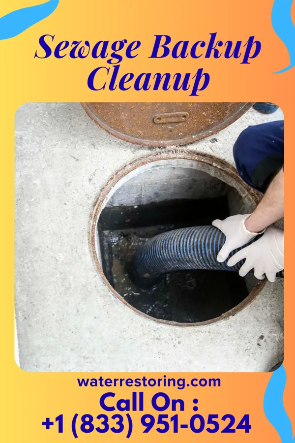 Sewage Backup Cleanup in Sterling, CO